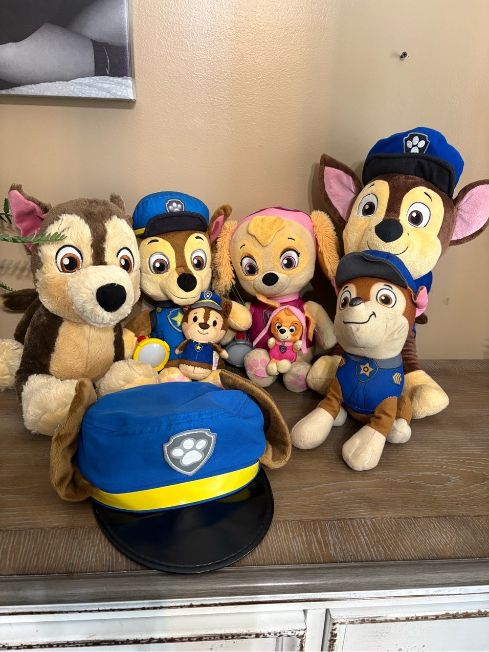 Paw Patrol Chase and Skye Plush
Bundle P9